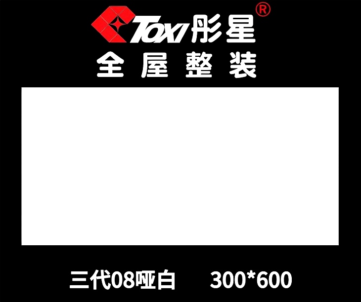 铝扣板——三代08哑白300*600